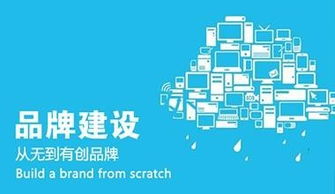 企業(yè)網(wǎng)絡推廣策略詳解與北京優(yōu)質信息咨詢服務推薦